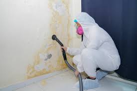 Best Mold Damage Restoration  in Mission Viejo, CA